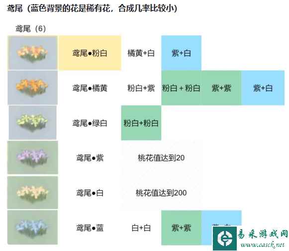 网2