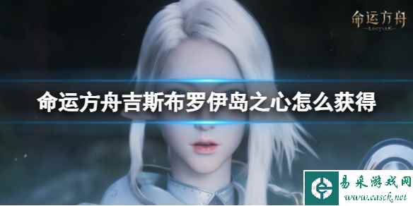 网1
