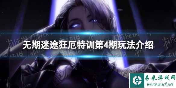 网1