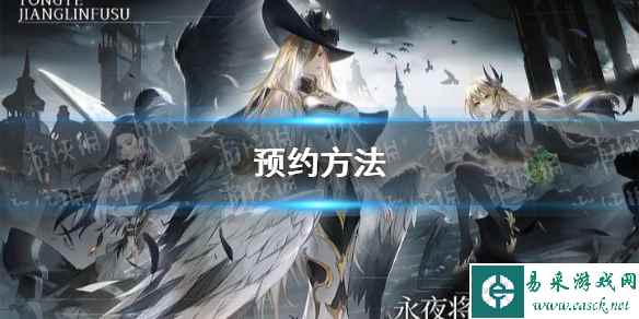 网1