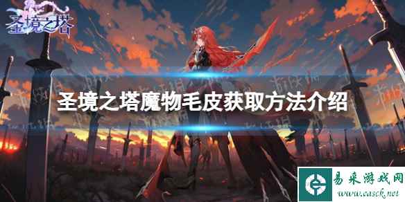 网1