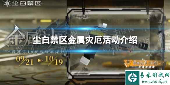 网1