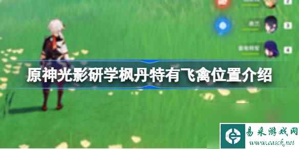 原神光影研学枫丹特有飞禽位置介绍,原神光影研学枫丹特有飞禽位置在哪