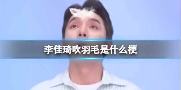 网1
