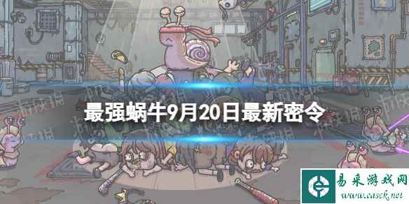 网1