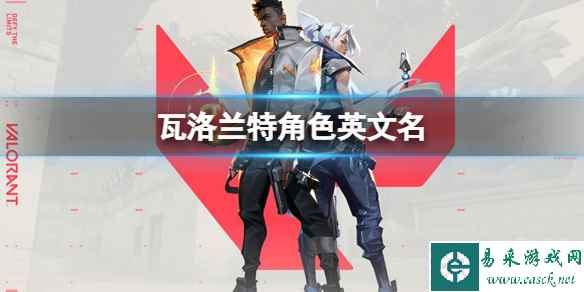 网1