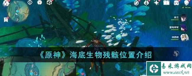 《原神》海底生物残骸位置介绍