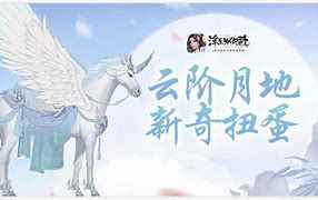 网4