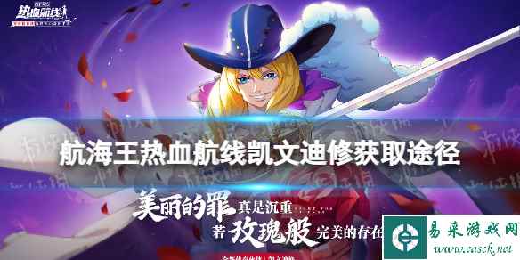 网1