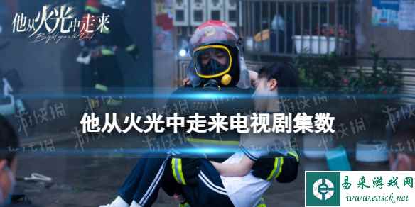 网1
