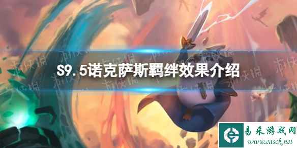 网1