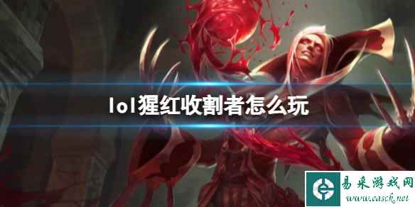 网1