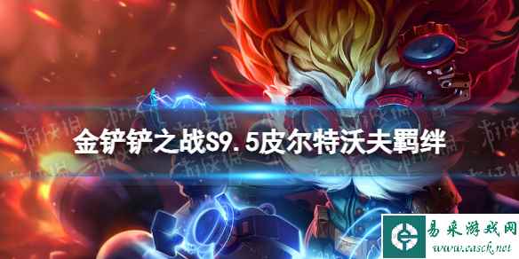 网1