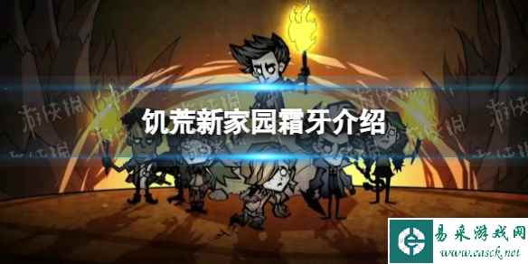 网1