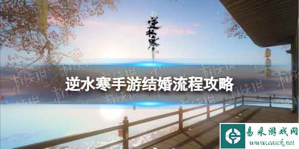 网1