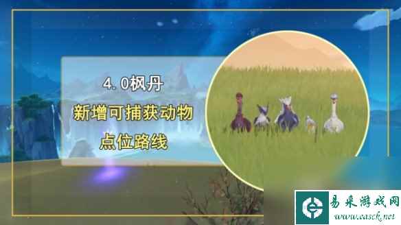 《原神》4.0新增捕获动物种类一览