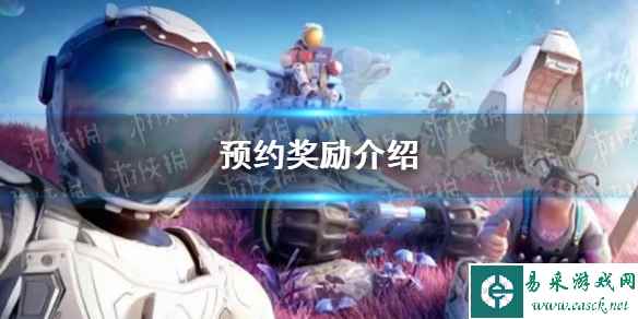 网1