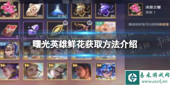 网1