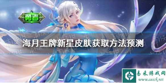 网1