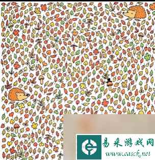 全民剧本大师找出松果怎么过-全民剧本大师找出松果攻略