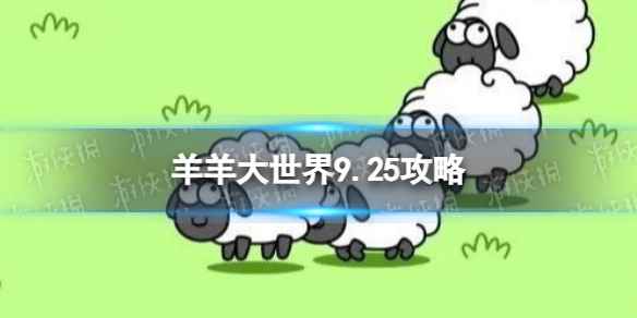 网1