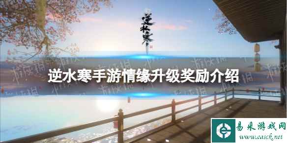 网1