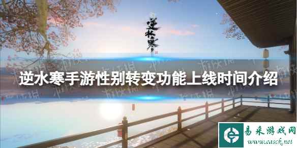 网1