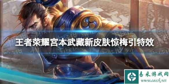 网1