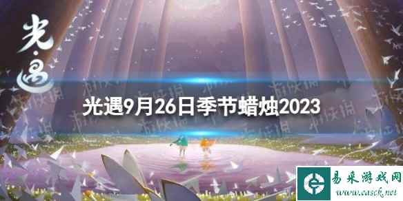 网1