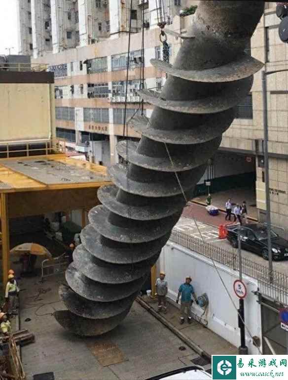 有史以来最大的南瓜！30张令人惊讶的“巨物”照片