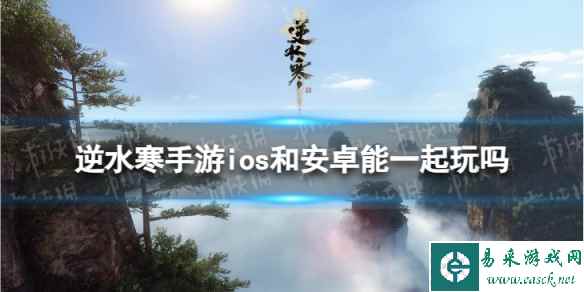 网1