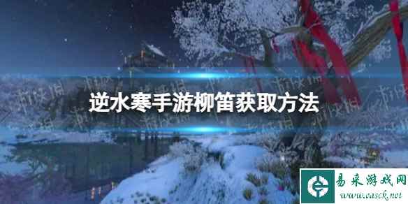 网1