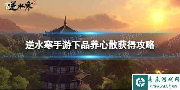 网1