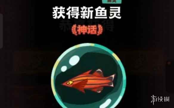 网2