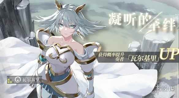 网8
