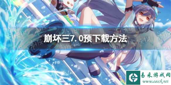 网1