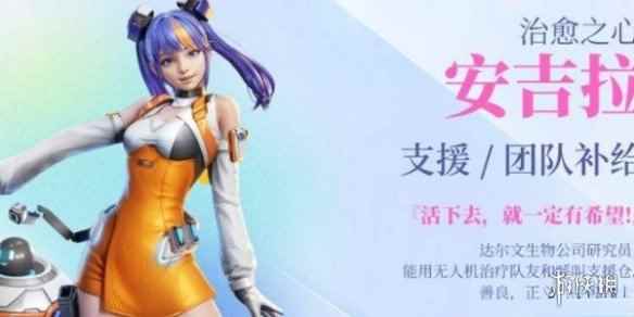 网4