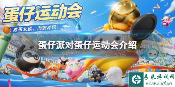网1