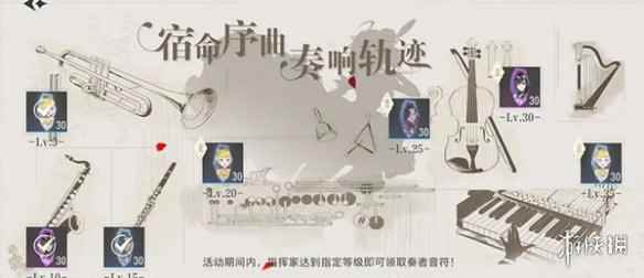 网5
