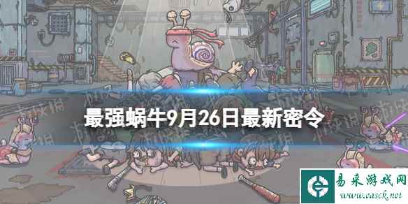 网1