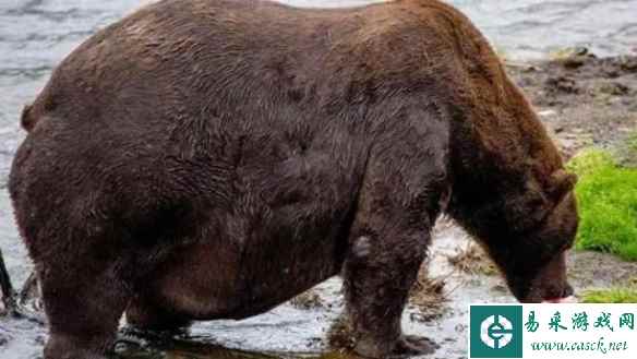 水上茅草屋宛如移动城堡！23张神奇的“活久见”照片