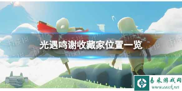 网1