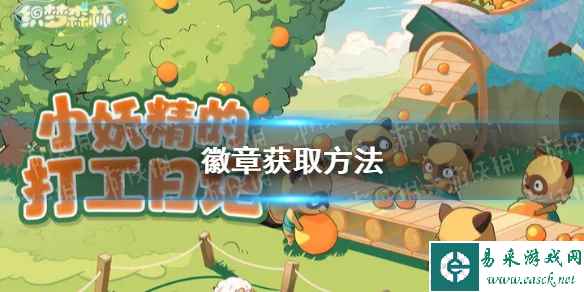 网1