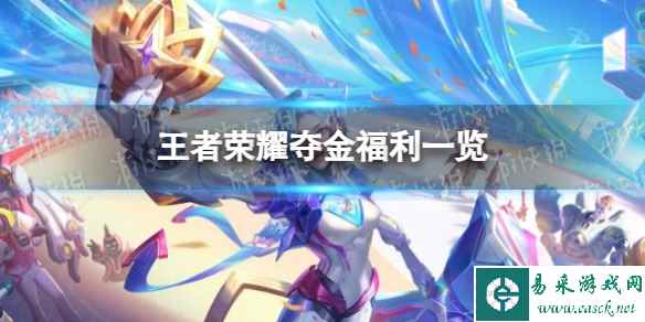 网1