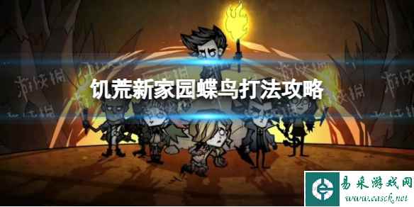 网1