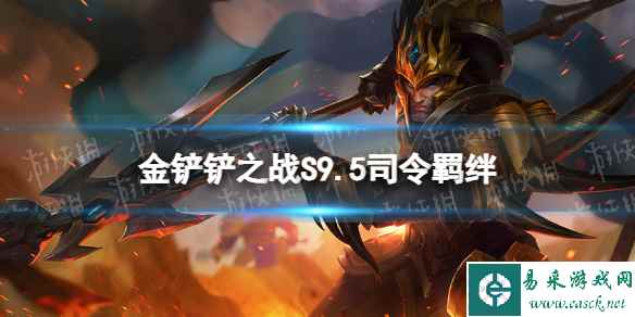 网1