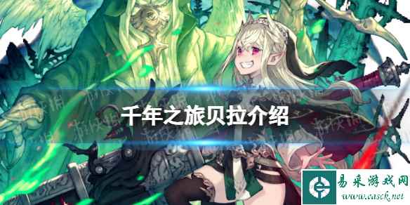 网1