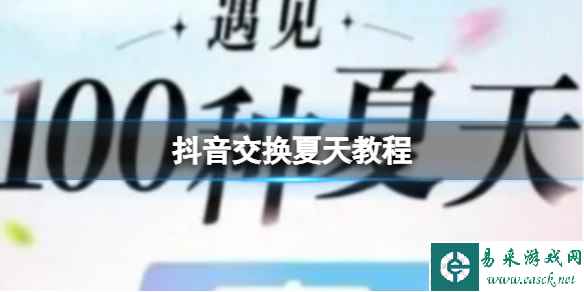 网1