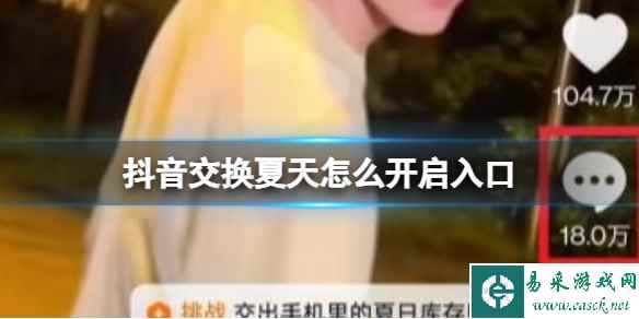 网1