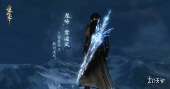 网4
